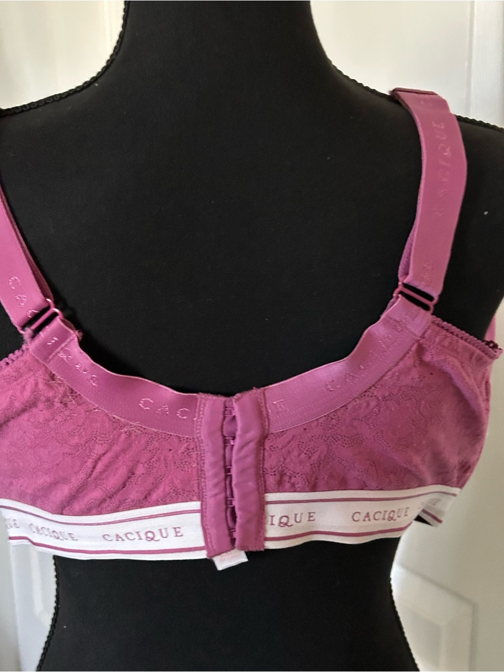 Cacique Raspberry Molded Underwire Bra - Picture 4 of 5